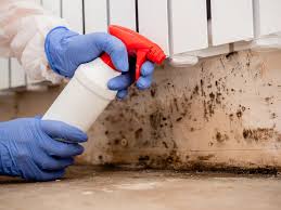 Best Mold Damage Restoration  in USA